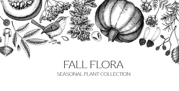 Vintage autumn background. Fall leaves, pumpkins, berries, mushrooms sketches. botanical border. Hand-drawn vector illustration NOT AI generated